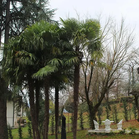 Jasmine Bed & Breakfast Arcugnano