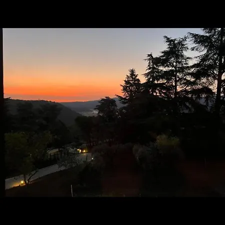 Jasmine Аркуньяно