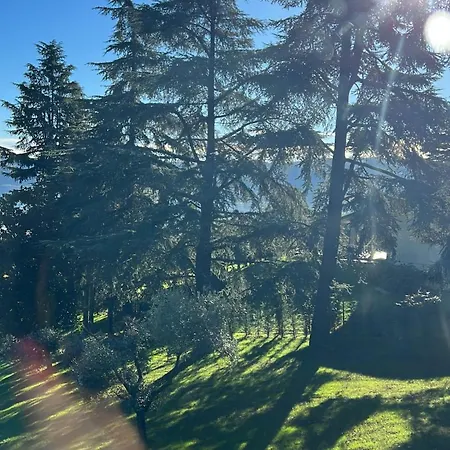 Bed and Breakfast Jasmine