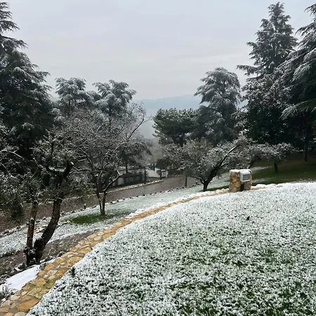 Jasmine Bed and Breakfast Arcugnano