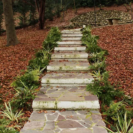 Jasmine Отель типа 