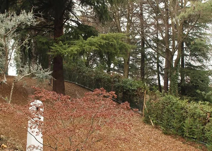 Jasmine Bed & Breakfast